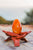 Carnelian 