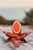 Red Jasper 