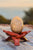Picture Jasper/Quartzite 
